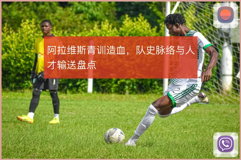 阿拉维斯青训造血,队史脉络与人才输送盘点