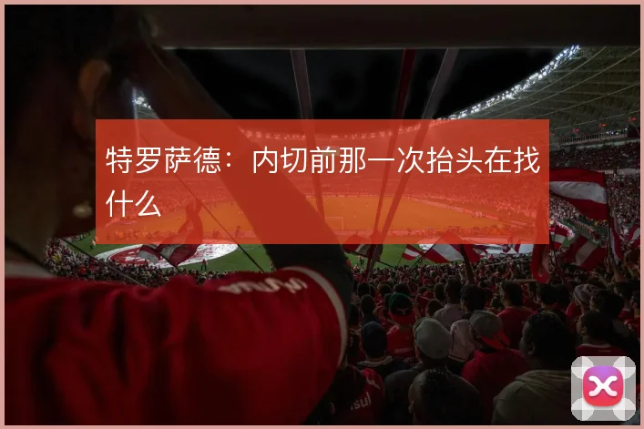 特罗萨德:内切前那一次抬头在找什么